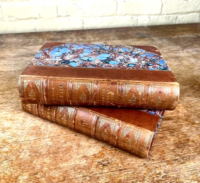 Illustrated Antique Leather Spine Books Middle Ages Renaissance Art Paul Lacroix Foto 1 de 4