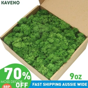 Kaveno Moss Preserved Green Reindeer Moss for Fairy Gardens 9oz Pack - Picture 1 of 8