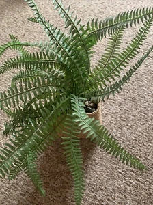 Artificial Faux Fern Plant In Basket - Picture 1 of 6