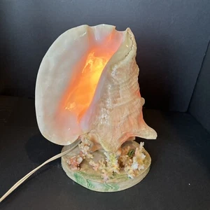 Large Vintage Conch Shell Lamp Night Light Accent Light w/ In-Line Power Switch - Picture 1 of 24