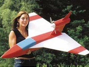 Arrow Amphibious Delta Sport 44" WS RC Modellflugzeug Pläne Vorlagen PDF auf USB - Bild 1 von 3