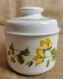 Royal Worcester Palissy "Honeysuckle" Pattern Vintage sugar bowl with lid - Picture 1 of 8