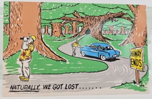 "Naturally We Got Lost" Forest Car Highway Travel Postcard Frye & Smith H-410 - Picture 1 of 6