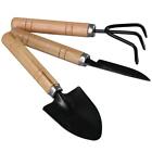 Set of 3 Black Mini Garden Shovels Iron Crafts Claw Tool Set  Indoor Tool