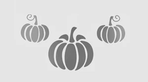 6"x10" Clear Plastic Stencil - Pumpkin (RE214)* - Picture 1 of 2