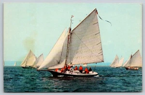 FRIENDSHIP MAINE Sloop Races SAILBOAT Postcard - Picture 1 of 2