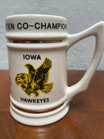 University of Iowa Hawkeyes 1982 Rose Bowl Stein Chuck Long Big Ten Pasadena Cover