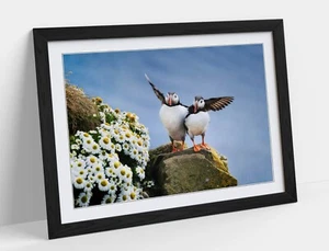 PUFFINS ON A CLIFF EDGE BEDROOM HOME DECOR FRAMED WALL ART POSTER PRINT 4 SIZES - Picture 1 of 10
