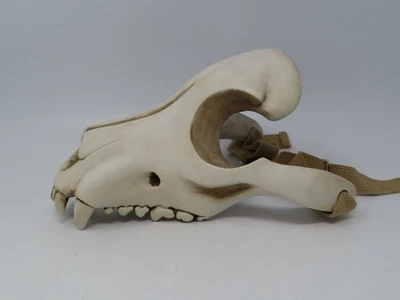 Eric M. Strother 犬头骨面具 — 第 1/4 张图片