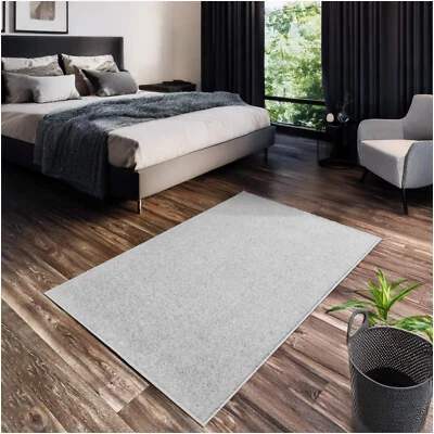 Koeckritz Soft Frieze Light Gray Area Rug - Living Rooms, Bedrooms, or Any Room - Image 1 of 4