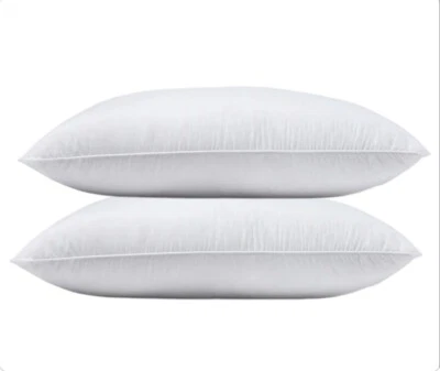 NWOT- Quince King White Duck Down Premium Pillow Set Of 2! (Firm)(P12) - Image 1 of 4