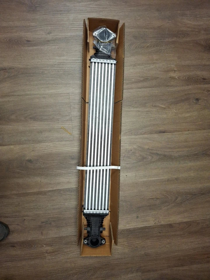 Honda Civic Inter Cooler 2022- Foto 1 de 4