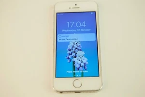 Apple iPhone 5s - 16 GB - Silver (Unlocked) - Afbeelding 1 van 11