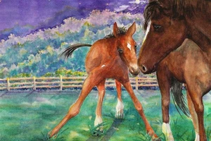 Postcard Jane Dyer - Mare & Foal - Illus for "Time for Bed" by Mem Fox 1993 MINT - Picture 1 of 1