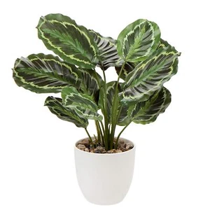 18'' Tall Fake Plant for Home Decor Artificial Calathea Plant with Large Leav... - Picture 1 of 5