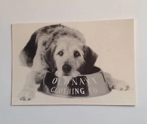 Postcard Old Navy Clothing Co. Vintage 1994 RARE - Picture 1 of 2
