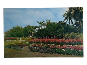 Orlando Florida FL Postcard Lake Eola Flowers - Picture 1 of 2