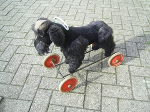 alter STEIFF Hund Pudel auf Rädern zum reiten Dachbodenfund - Bild 1 von 8