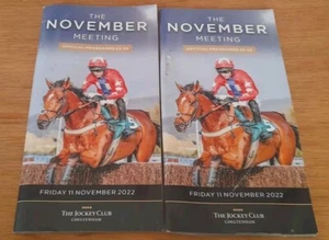 CHELTENHAM RENNKARTE, 11. NOVEMBER 2022 - DER NOVEMBERTREFFENSTAG! - Bild 1 von 14