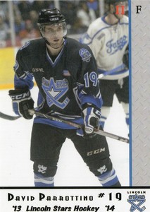 2013/14 Lincoln Stars Series 2 - DAVID PARROTTINO