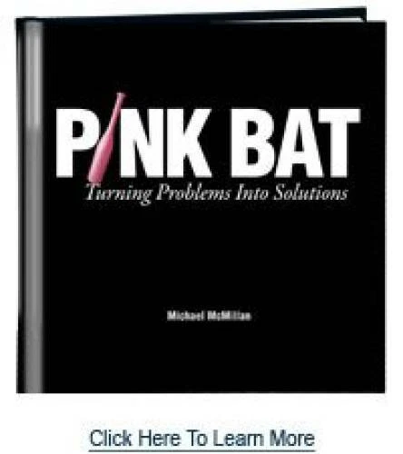 Pink Bat: Turning Problems Into Solutions - Hardcover - VERY GOOD - Image 1 of 1