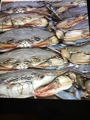 GOURMET Soft Shell Crab 12 Jumbo