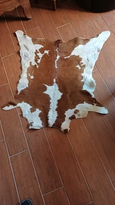 Cabinet de curiosité taxidermie peau de veau pas vache tapis - Photo 1/2