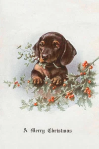 DACKEL WELPE MIT HOLLY EINZELNER HUND DRUCK GRÜSSUNGSKARTE WEIHNACHT - Bild 1 von 1