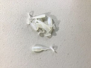 1.75 IN EPIC PREY BAIT CRAPPIE PERCH WALLEYE BASS FISHING FREE SHIPPING 100 ct - Picture 1 of 1