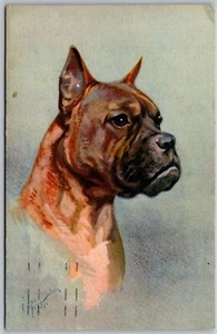 Postal de colección de ilustración de perro boxeador firmada por I. Rivst - Imagen 1 de 2