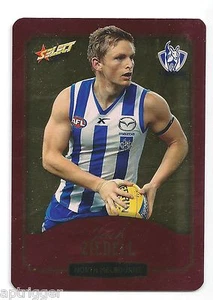2014 Select Champions Gold (148) Jack ZIEBELL North Melbourne - Picture 1 of 1