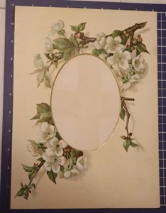 Antique Edwardian/Victorian Photo Album Mat 8x11 Frame White Flowers Pear Apple - Picture 1 of 4