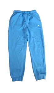 Air Jordan Brooklyn Fleece Pants Men's Active Size Small FV7277-469 EUC Blue - Picture 1 of 17