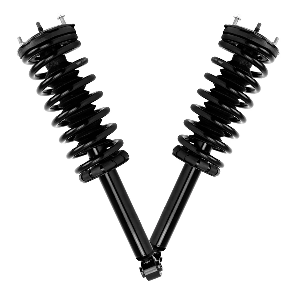 Rear Strut with Coil Spring Driver / Passenger for 1995-1999 Nissan Maxima I30 - Изображение 1 из 4