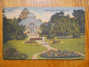 Palm House Wilkes Barre PA Park Hospital Gardens 1943 - Bild 1 von 2