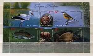 Moldavia: Fauna M/S 2014, montada sin montar o montada - Imagen 1 de 1