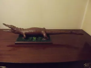 More details for vintage young alligator/crocodile taxidermy