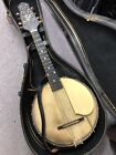 The Gibson Mandolin Banjo Banjolin - 1920's