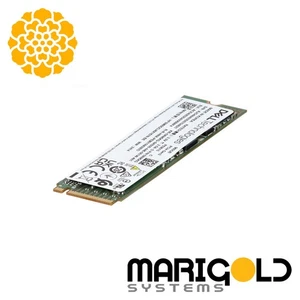 Dell 960GB M.2 Gen3 NVMe TLC SSD RI (Para Dell BOSS-N1) XN5KG 0XN5KG - Imagen 1 de 1
