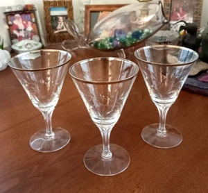 3 VTG Fostoria CRYSTAL WATER / WINE GLASS Bridal Belle PLATINUM RIM Etched USA - Picture 1 of 13