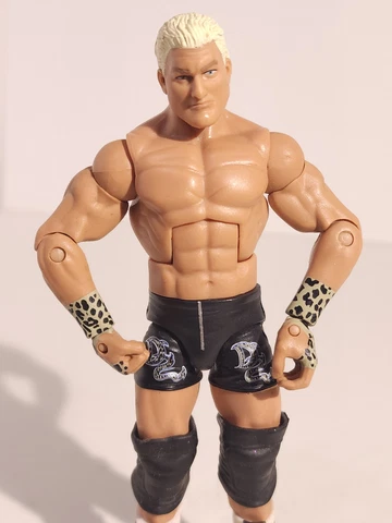 WWE Mattel Elite Series 5 Dolph Ziggler Wrestling Figure Cover