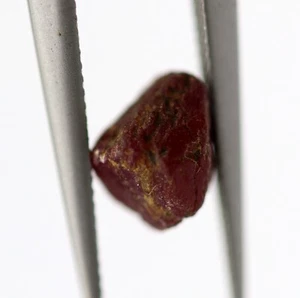 Red Color Natural Loose Ruby UNCUT RAW ROUGH SHAPE Gemstone 1.48 Ct Untreated - Picture 1 of 9
