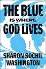 New The Blue Is Where God Lives A Novel By Sharon Sochil Washington Hc 2023