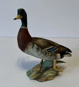 Vintage Tay Italy Mallard Duck figurine 5 1/2”Tall x 4 3/4 Wide. Beautiful - Picture 1 of 7