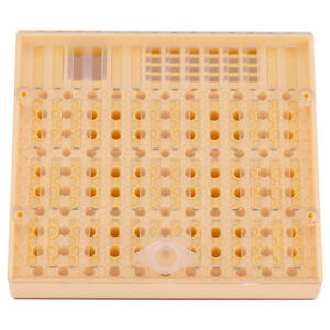 Queen Rearing Cup Kit Bee Cultivating Tool Plastic Beekeeping Box Cage Set