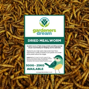 GardenersDream Dried Mealworms - Nutritious Wild Garden Bird Food Treats Birds - Picture 1 of 28