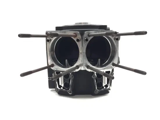 Estuches centrales izquierda derecha motor Harley-Davidson Road King 1999 FLHR 3161 X Foto 1 de 4