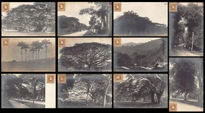 Trinidad - PORT OF SPAIN - Set of 11 Real Photo postcards - Picture 1 of 2