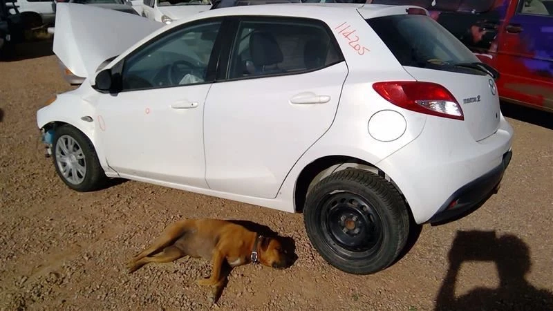MAZDA 2   2011 Rear Door Hinge 275623 - Image 1 of 1