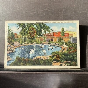 Wasservögel Teich am Clinch Park Traverse City MI Michigan Vintage Leinen Postkarte - Bild 1 von 2
